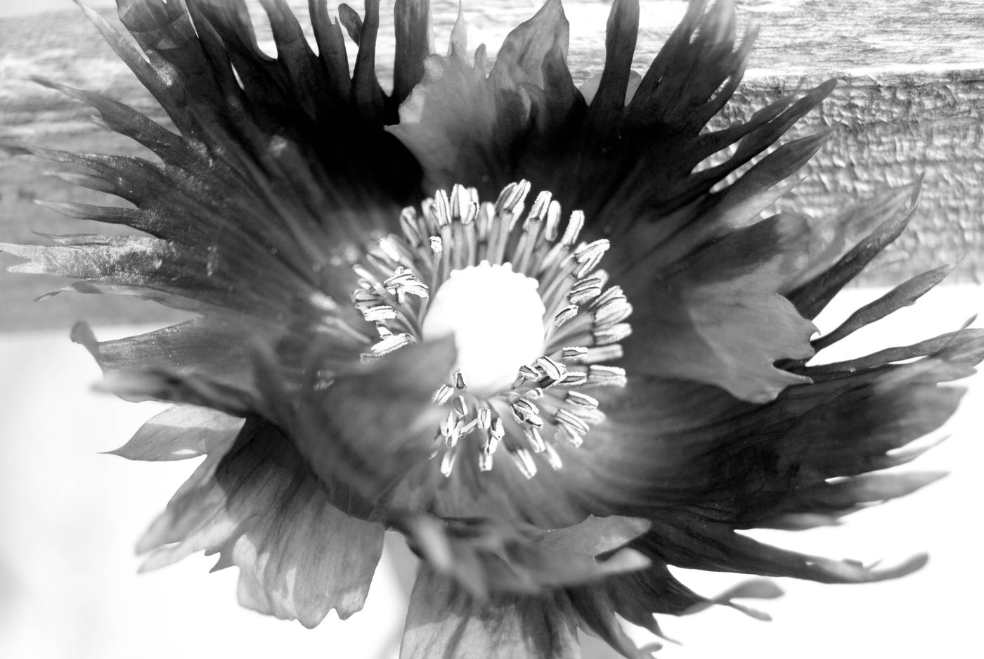 Burst (digital)