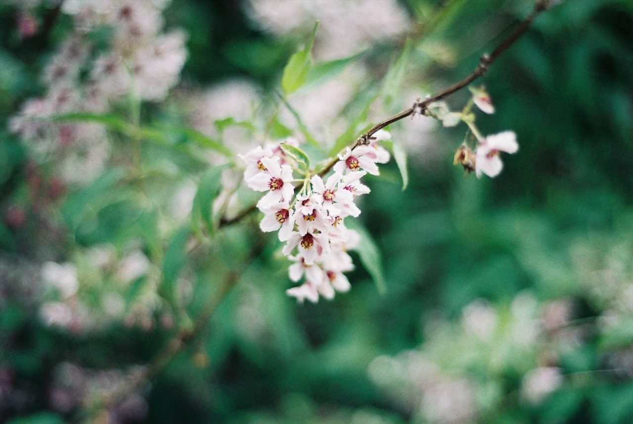 Spring into Spring (film)